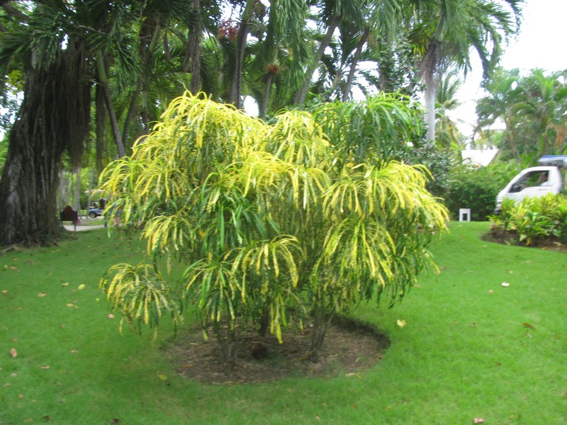 Dominican Republic 346.jpg